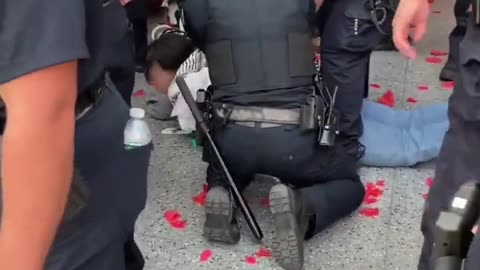 BREAKING: Brooklyn Museum Clashes with Protesters, Domestic Terrorist Arrested
