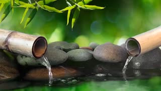 🔴 Relaxing Music 24/7, Sleep Music, Stress Relief Music, Spa, Meditation, Yoga, Zen, Sleeping Music