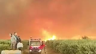 Fire tornado in Chile