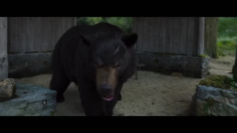Cocaine Bear Official Trailer