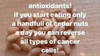 Anti cancer nut tip