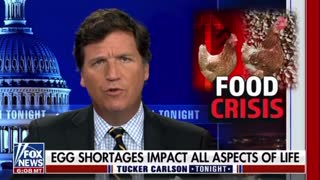 Food Crisis: What the Cluck is going on?