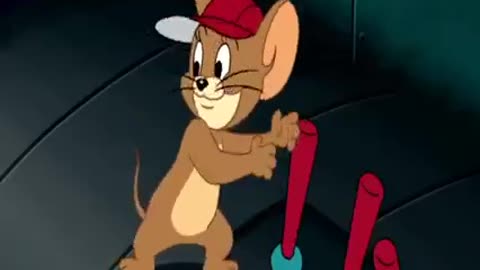 Tom and Jerry Cartoon Video