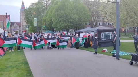 Pro-Palestine College Protests Compilation (Apr/May 2024)