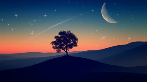 Night Sky No Copyright Video Moon Copyright Free Video Stars Free Stock Video Tree 1001