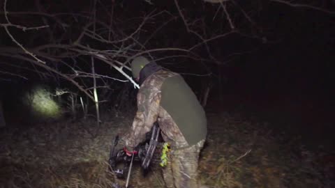 Perfect Shot on Kansas Buck