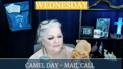 Q/A with Coach Annamarie - Faith Lane Live 2/1/23 Camel Day! Mail Call! Answering YOUR Questions!