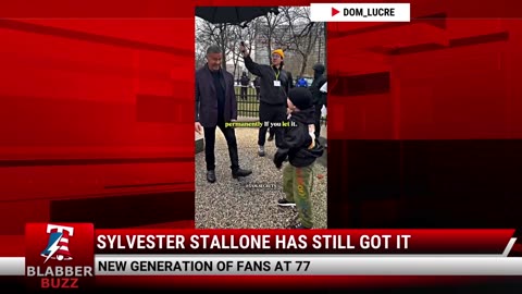 Sylvester Stallone Has Still Got It