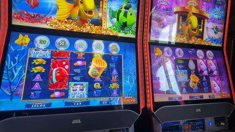 Double Goldfish on the slots with my new gambling buddy Carnival Miracle 5/3/2024
