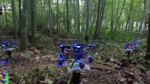 Drones combing thru the forest, like a predator for a man hunt...
