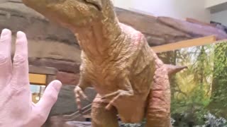 Tyrannosaurus rex at the Natural History Museum in Albuquerque,NM 2023