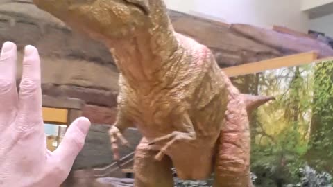 Tyrannosaurus rex at the Natural History Museum in Albuquerque,NM 2023