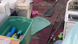 Lots of good catfish from our jug fishing day on the Coosa River,Lay Lake.🐟🐟🐟🐟🐟🐟🐟