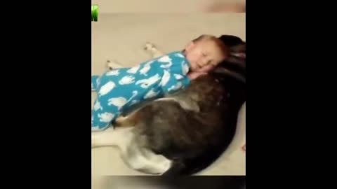 Baby Sleep Compilation | FUNNIEST BABY CAT NAPPING - You Burst Out Laughing.