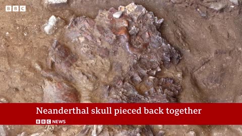 Face of 75,000-year-old Neanderthal woman revealed BBC News