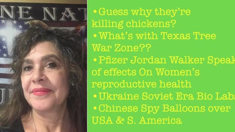 2-3-23 Guess Why We have Egg Shortages?Texas War Zone! Jordan Walker Admits Pfizer knows about Women's Menstruation Problems! Chinese Spy Balloons!