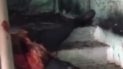 Horrific Video of Russian Blown Down a Stairwell