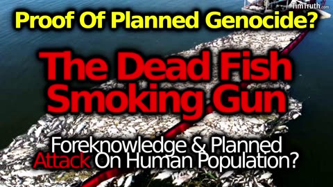 Whalewash In Huge Numbers: Food Supply Attack Genocide?! Govt Caught Poisoning! (Chem Fogging?)