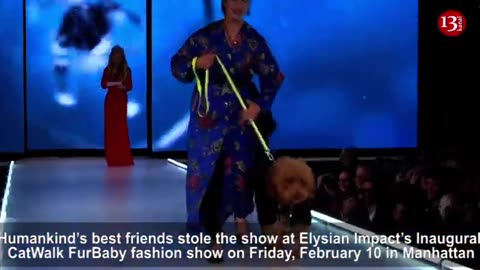 "CATWALK FUR BABY"-ELYSIAN IMPACT NEW YORK FASHION WEEK SHOW: Ten models wearing outfits...