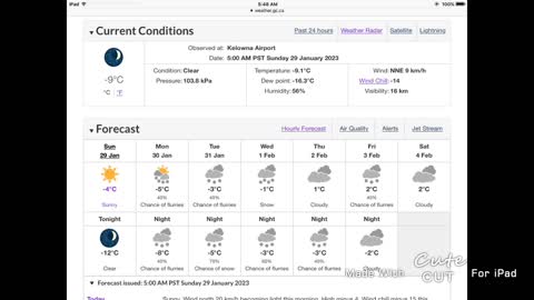 Kelowna Weather January 29 2023