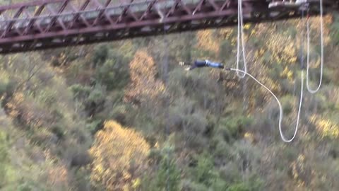 Option C - Acceleration of a Bungy Jump