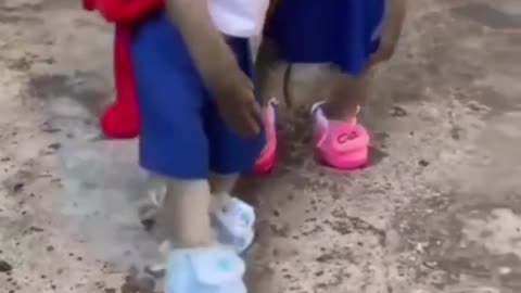 Funny fun video of monkeys