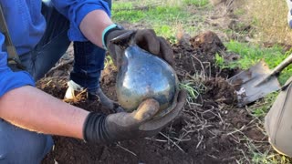 The Ancient Chinese Tiger Whisky Bottle Bottle Digging