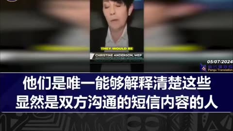 欧议员克里斯蒂娜·安德森：