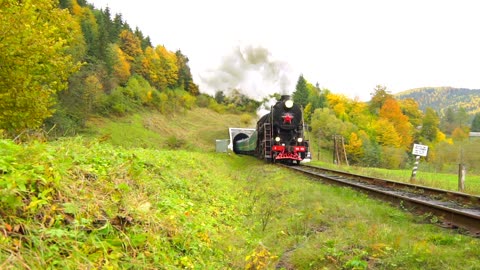 An old steam train going out of the tunnel