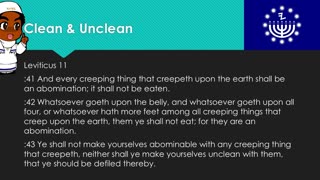 Clean & Unclean | Torah Menorah