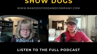 Controversial Truth About Show Dogs