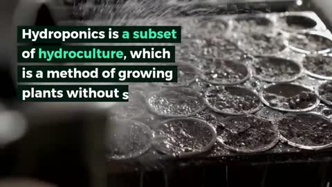 "The farming of the future" is hydroponics.