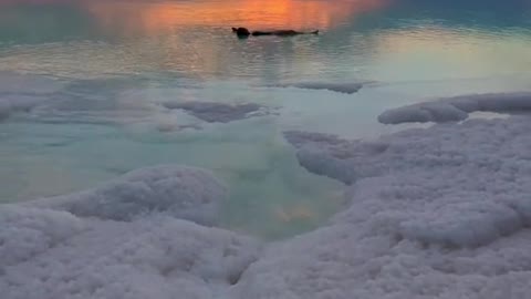 Floating in the Dead Sea at sunset, what a perfect end to a day