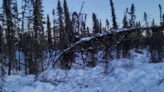 Wolf Kill, Northwest Territories