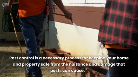 Things To Consider On Pest Control: What Works, What Doesn't
