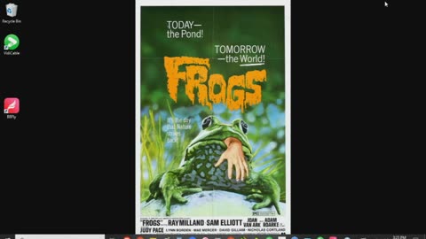 Frogs Review