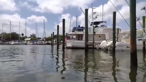 Plumbing the Deep While Fishing the Shallows