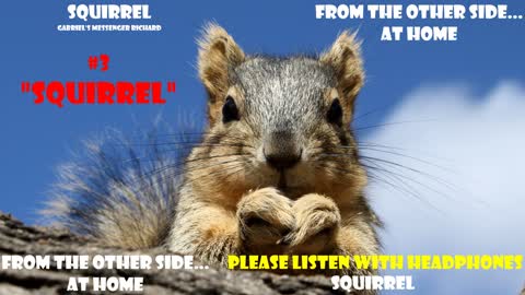 EVP Spirits Saying The Hard To Pronounce Word SQUIRREL Afterlife Communication