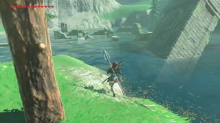 Zelda BOTW - Nice Catch!