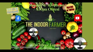 The Indoor Farmer #72 Mushroom Farm Tour With Great River Mushrooms