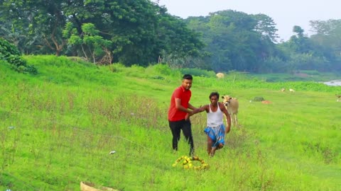 Fake King Cobra Snake Prank on Crazy Public!