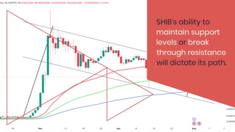 The Bullish and Bearish Case for Shiba Inu (SHIB) Price