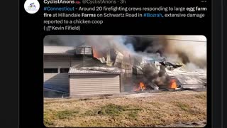 Massive Fire Breaks Out At Egg Farm In Connecticut, 100,000 Chickens Dead