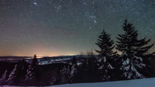 starry sky during winter Forest