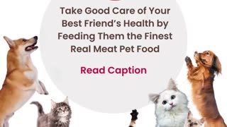 Take Good Care Of Your Best Friend’s Health By Feeding Them The Finest Real Meat Pet Food