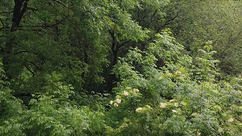 Naturaleza, paisajes