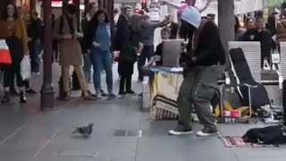 Pigeon Dances to Street Music