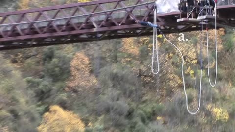 Option A - Acceleration of a Bungy Jump