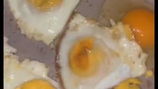 Plastic eggs