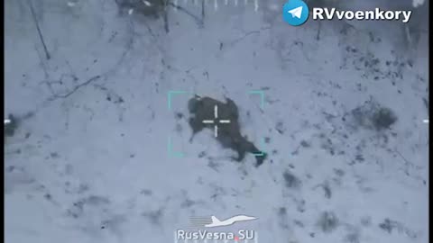 Video of a Russian Armed Forces soldier shooting down a Ukrainian drone with his bare hands.